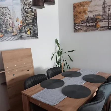Appartamento Djuric Center *