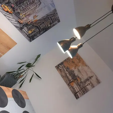 Djuric Center Apartament *