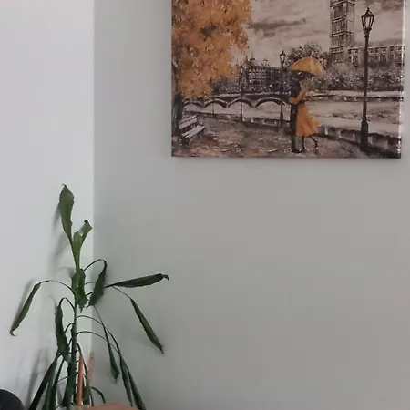 Djuric Center Appartamento *