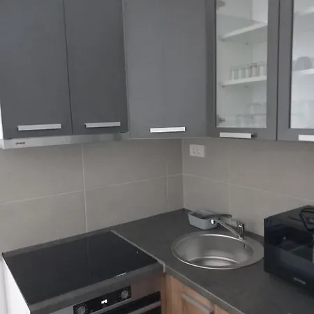 Appartamento Djuric Center *