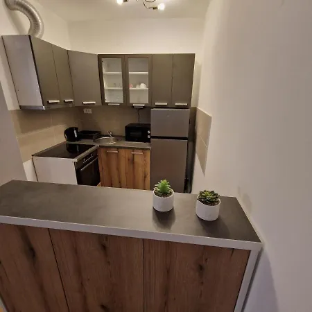 Djuric Center Appartamento *