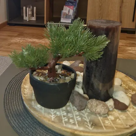 Appartamento Djuric Center *