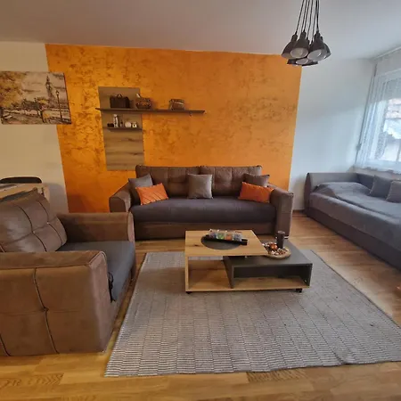 Djuric Center * Subotica